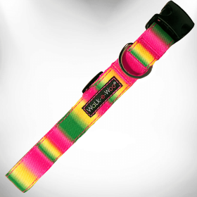 Tie Dye Dog Collar – Durable, Comfortable, and Stylish Design