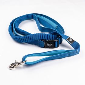 Cascades Stretchable Metallic Blue Runner Leash