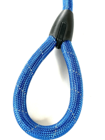 Heavy Duty 3ft Reflective Nylon Dog Leash for Large Breeds - Blue